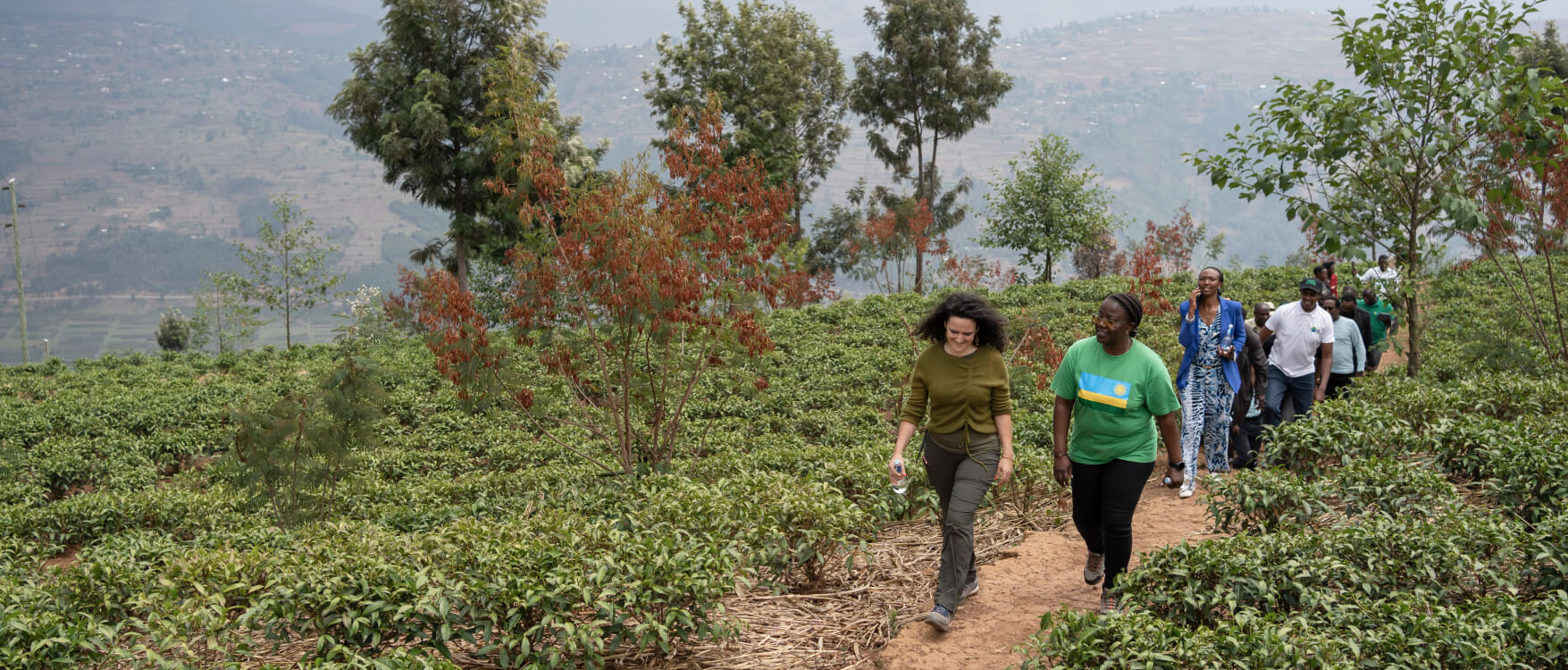 GCF Executive Director Mafalda Duarte (right) with Josephine Wangui Waweru (left), a coffee farmer and entrepreneur in Kenya.  Thanks to support from the GCF-funded Acumen Resilient Agriculture Fund (ARAF), Josephine has been able to sustainably grow her coffee farm into a thriving business through low-cost, pay-as-you-go solar irrigation.   Photo: © GCF / Andy Ball