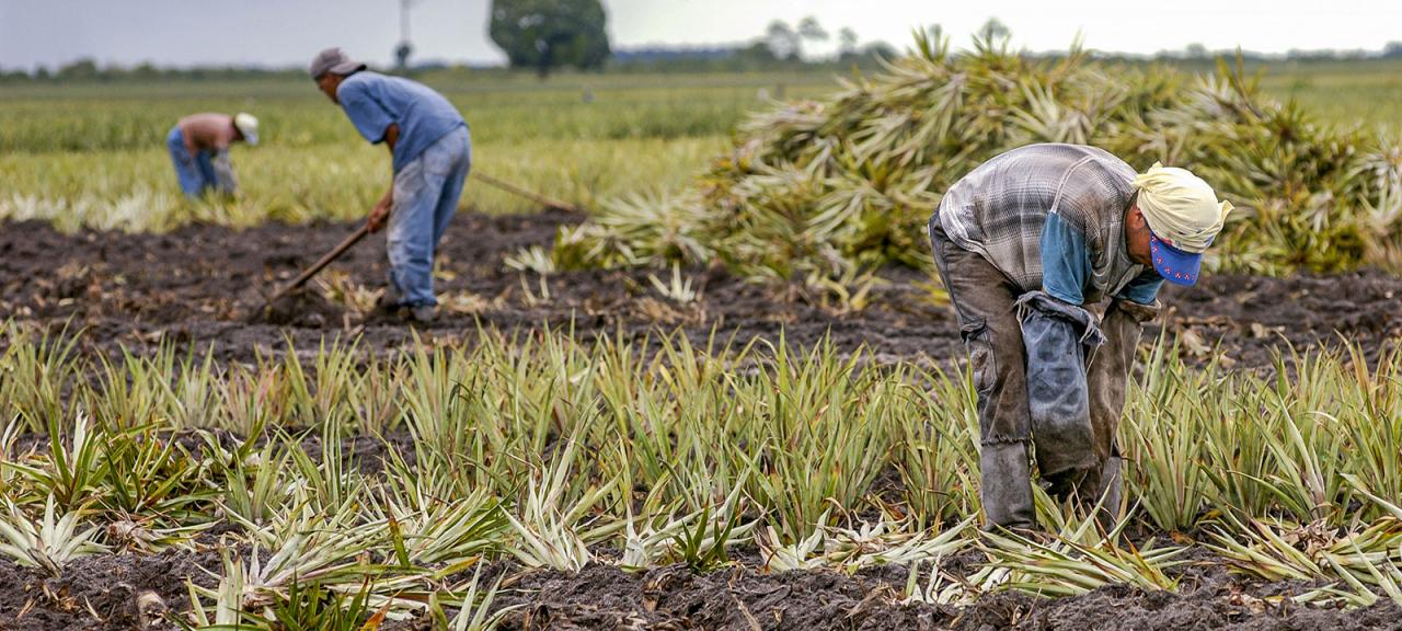 Brazil | Green Climate Fund