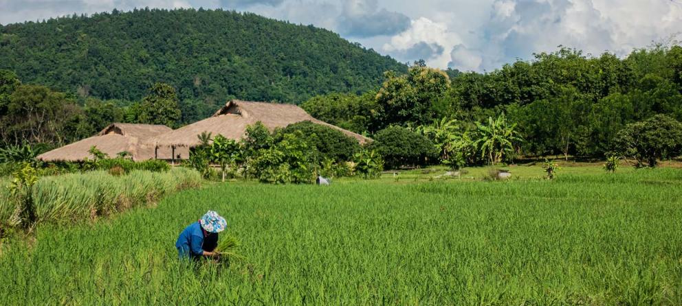 FP170: Enhancing Climate Resilience In Thailand Through Effective Water ...