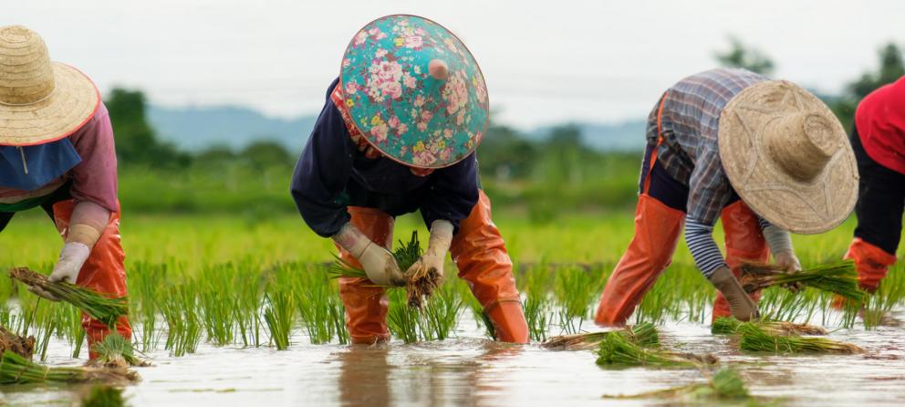 Events | Green Climate Fund