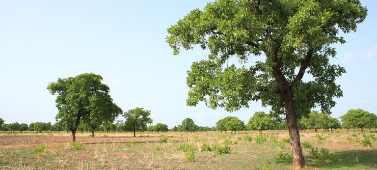 Ghana | Green Climate Fund