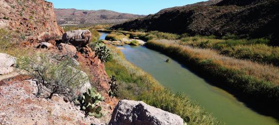 Fondo Mexicano para la Conservación de la Naturaleza A.C. (FMCN ...