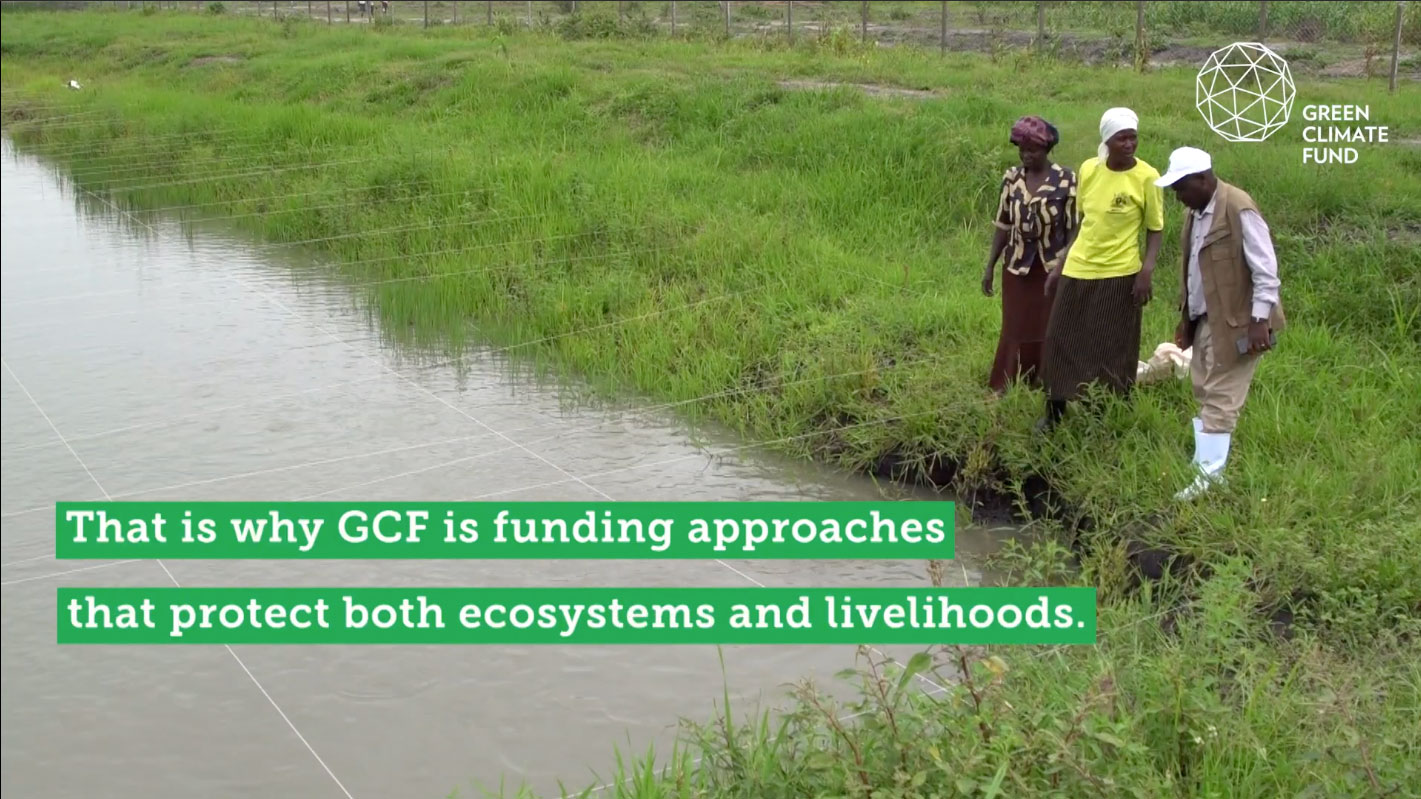 Building climate resilience for Uganda's wetlands Green Climate Fund